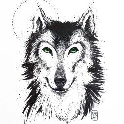 Illustration chien loup